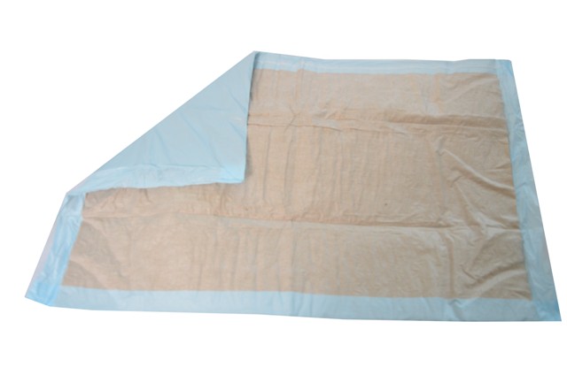 BeeSana® Krankenunterlagen | 6-lagig | 40 x 60 cm | 200 Stück/Karton BeeSana® Krankenunterlagen | 6-lagig | 40 x 60 cm | 200 Stück/Karton
